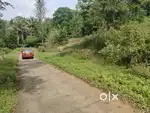 163 cent Land with House Near Vagamon Falls – ₹55L Total