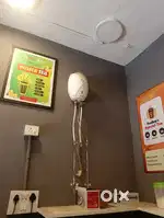 Unused New Geyser