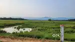 13 bigha land for sale chuto dudthpatil