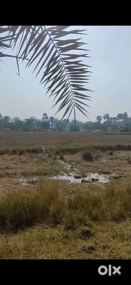 Ns high way sale plot patna