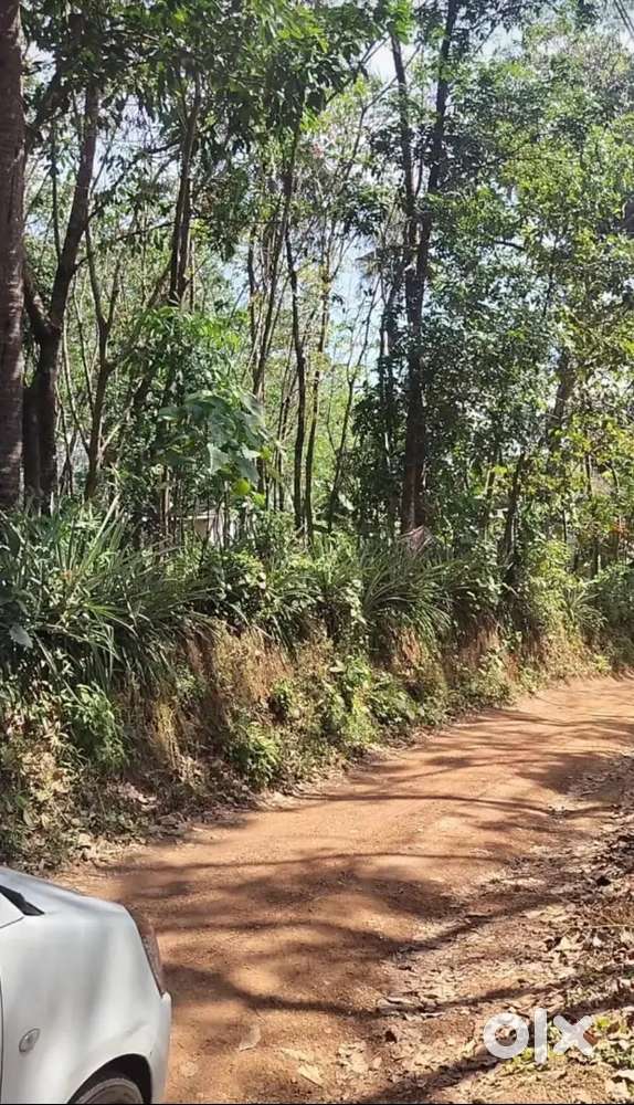 42 cent selling price 85000 per cent