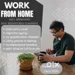 DATA entry work