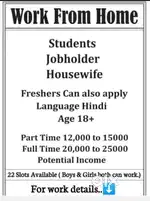 ONLINE WORK FROM HOME