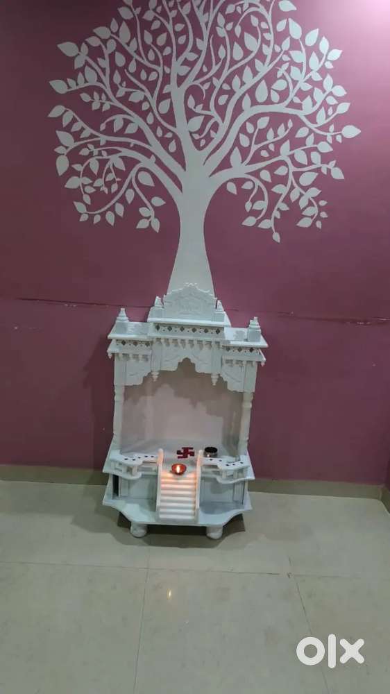 305 SHETRUNJI