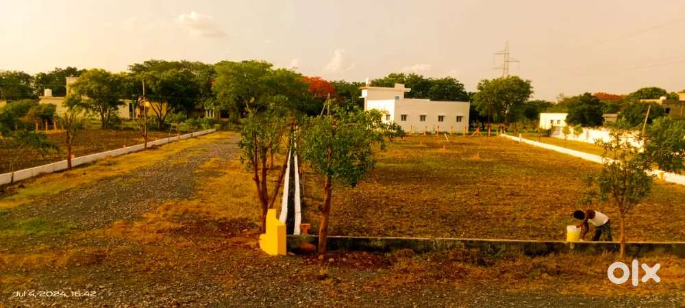 DTCP 100 Ank near KP Port Main Road ,Perfect for Investment &Farmhouse