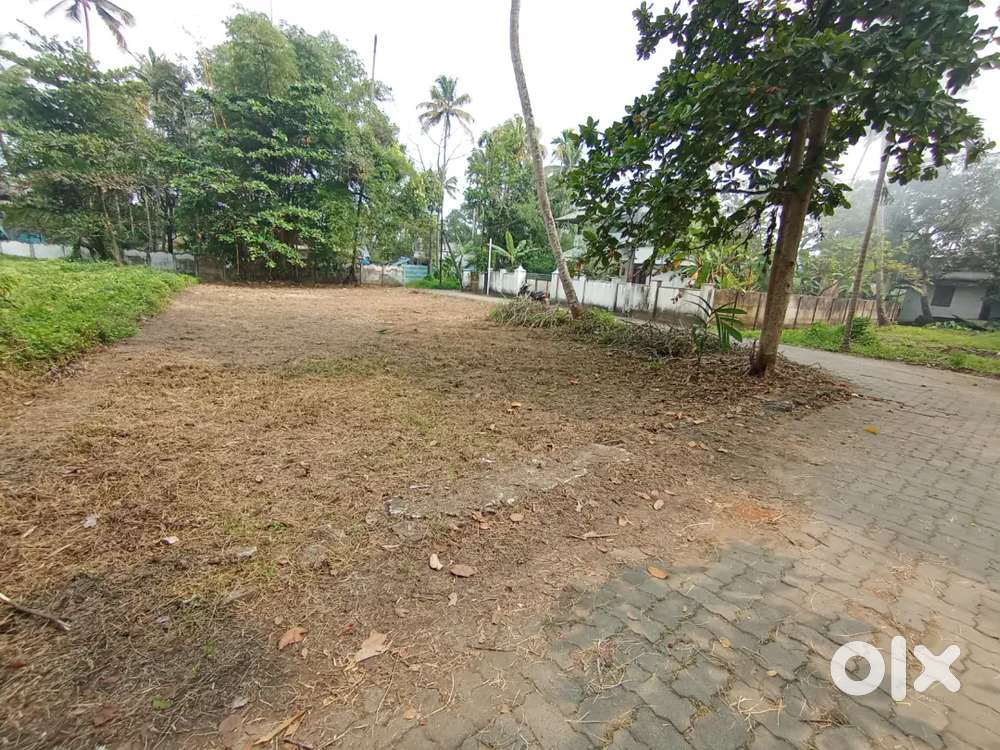 3 cent 6 cent ,cheriyapilly , kaithram route, 900 meter NH