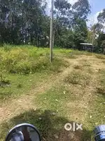 26 cent land For sale at perumpuzha
