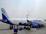 Job in airports all india locations