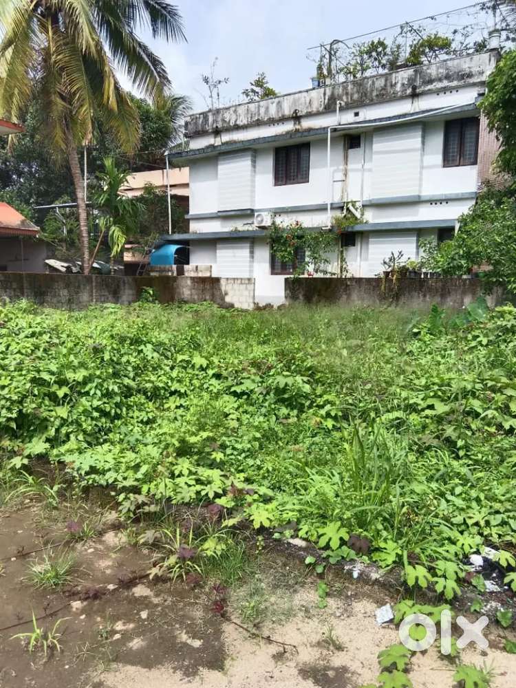 5 cent plot purayidam kunnumpuram