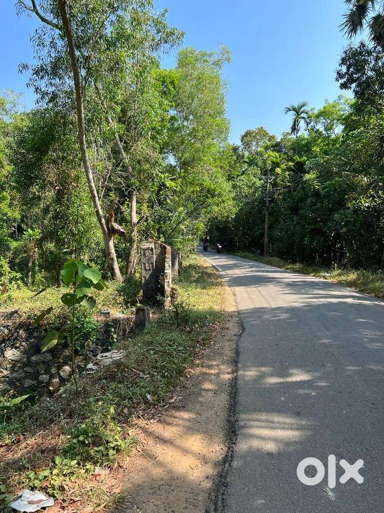 2.33 Acre Land near Pirayummoodu junction 10km from Vizhinjam Port