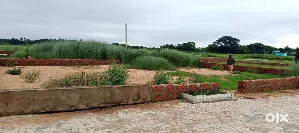 25 YEARS OF TRUST RESIDENTIAL PLOTS