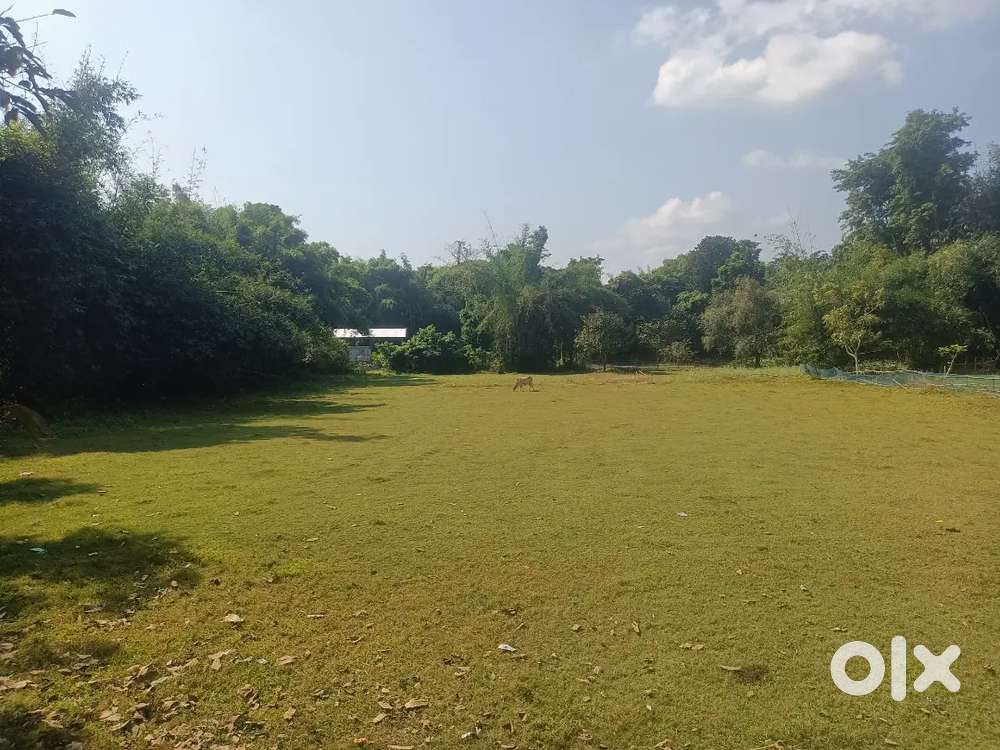 3 bigha , miadi land