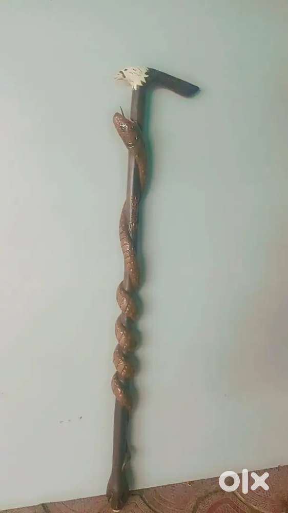 snake stick