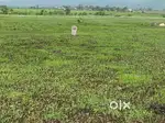 Title Clear Rera Approved Project NA Open Plot At Thansit 12.50 Lakh