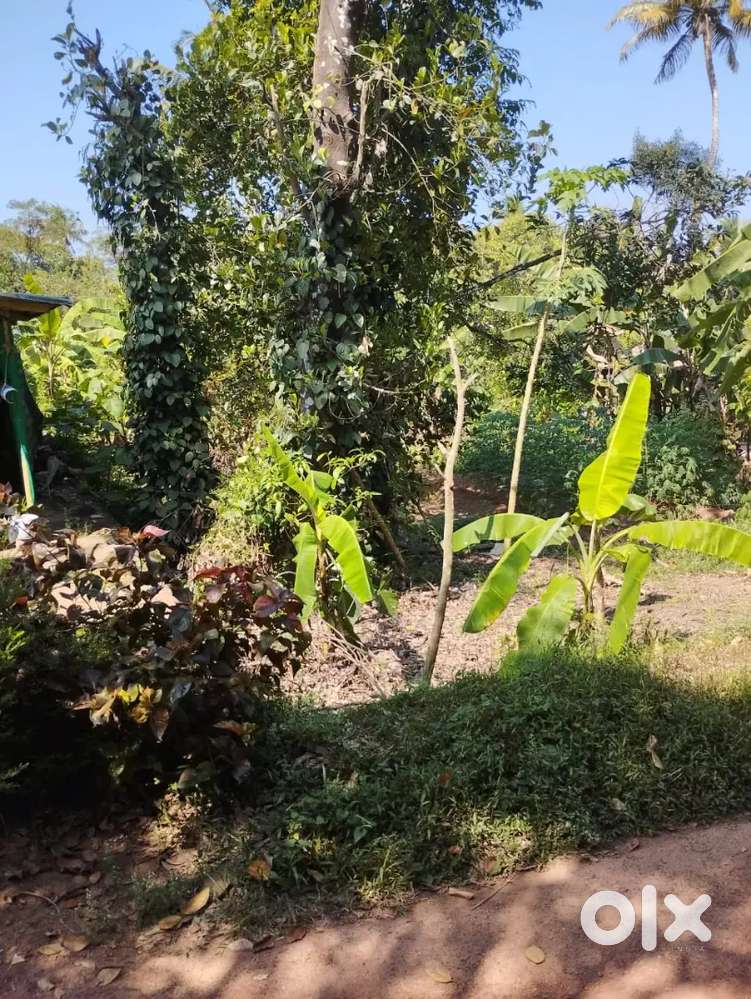 East Facing 9 Cent Plot for Sale - Mala Thissur