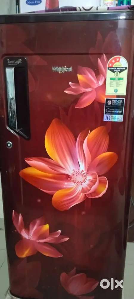 New Fridge and Red New Color