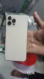 12 pro max