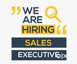 Sales Executive and Engineer