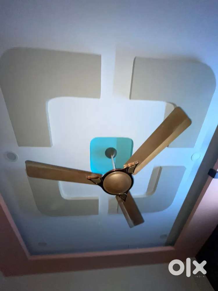 Ceiling fan