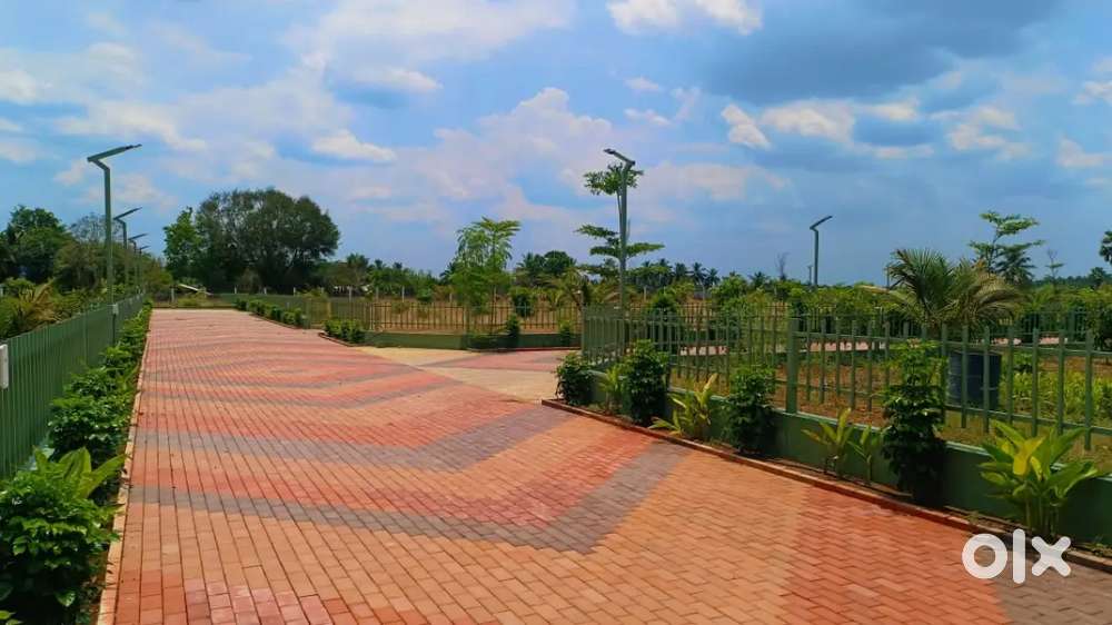 FRUITS FARM LAND FOR SALE