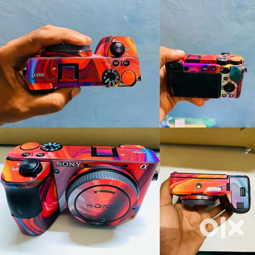 Sony ILCE-6600 with 18-105/f4.0 lens