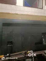 Sony Bravia 75 inch tv panel break