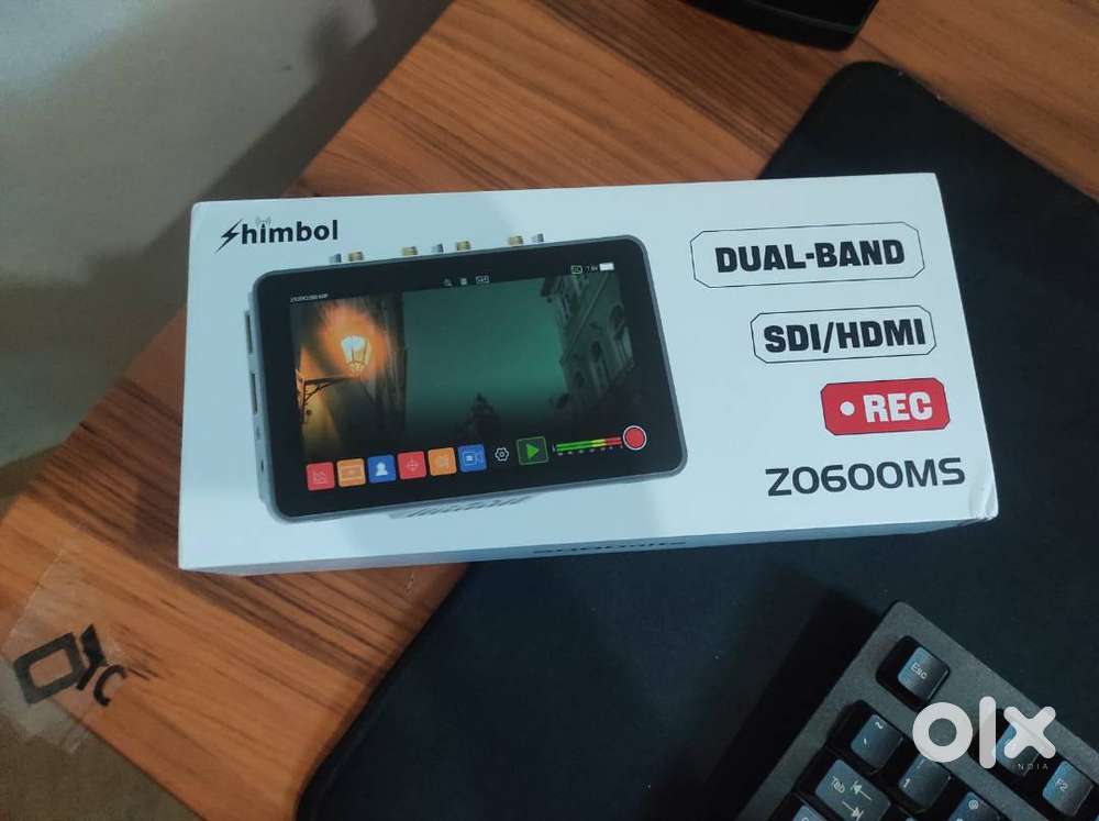 Mirrorless camera (monitor)