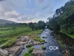 1.2 acres of river facing janmam land in Thirunelly, Wayanad, Kerala