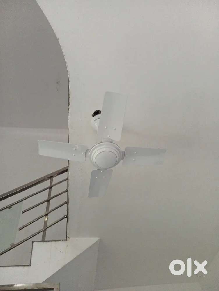 Bajaj Ceiling Fan Short Fan ( 600'mm , brand new , bought 2 days ago )