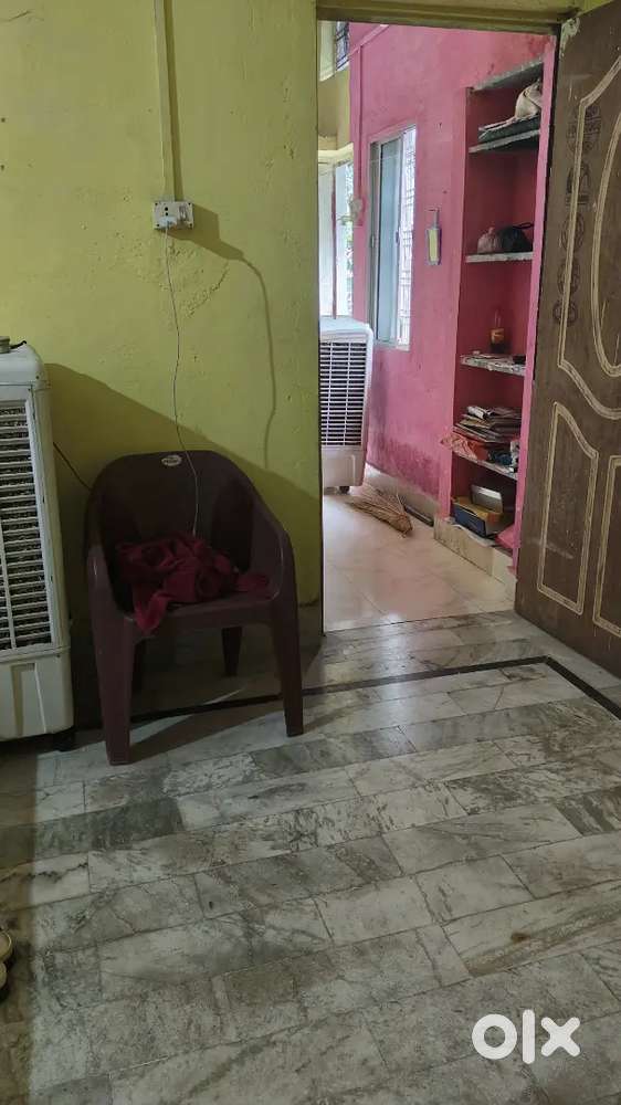 Need girl roommates