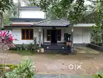 Home and land