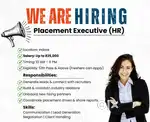 Sales Executive