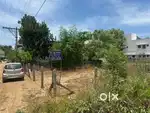 Schools nearby bustand nearby