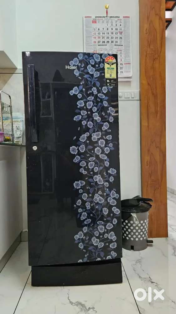 Well maintained Fridge