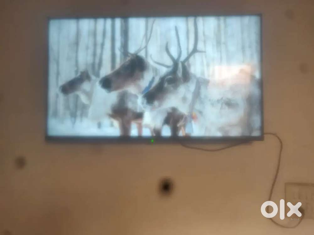 Led new 1 year old 43 inch