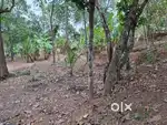 28 cent near Attingal