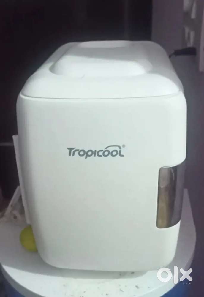 Mini Cooler  Fridge
