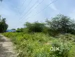 Factory land