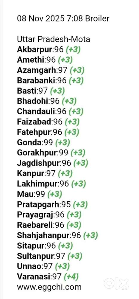 Sales Manager Poultry