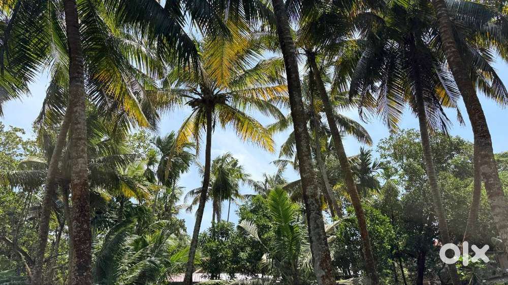 Water Front Plot For 13 Lakh