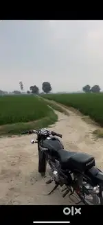 Bullet standard 350