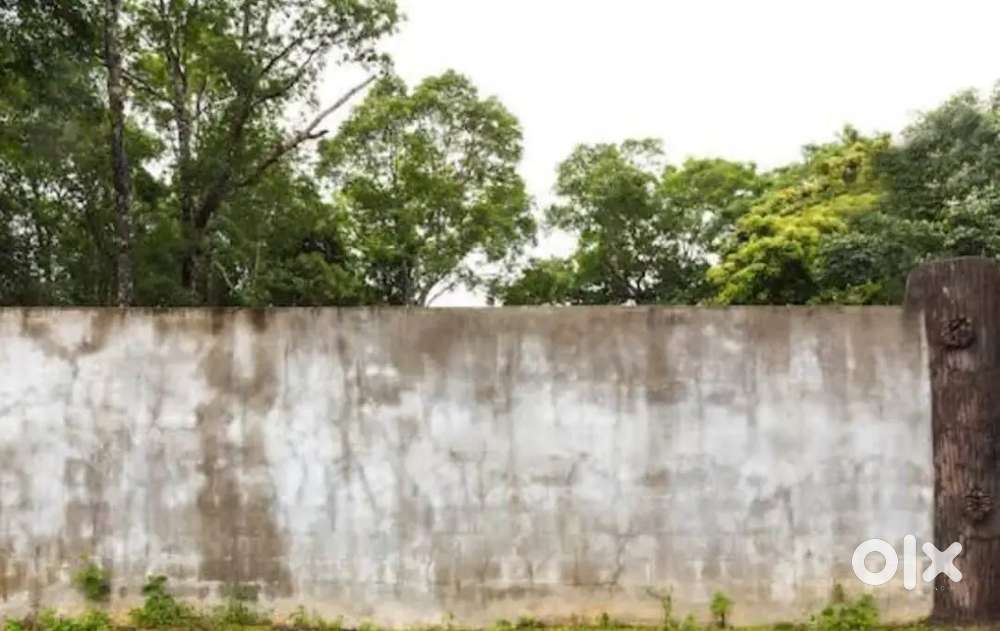 2 katha Land for sale near sakherbazar