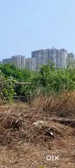 Plot for sale price Reasonable