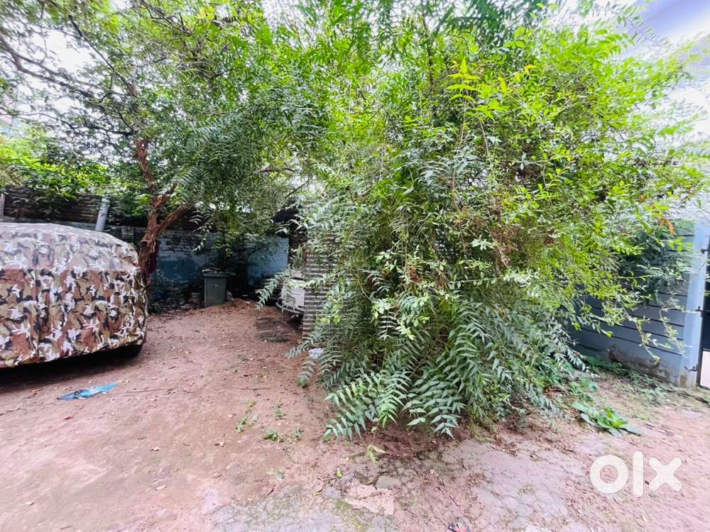 White house town area in gaya land empty for gowdon and office purpose