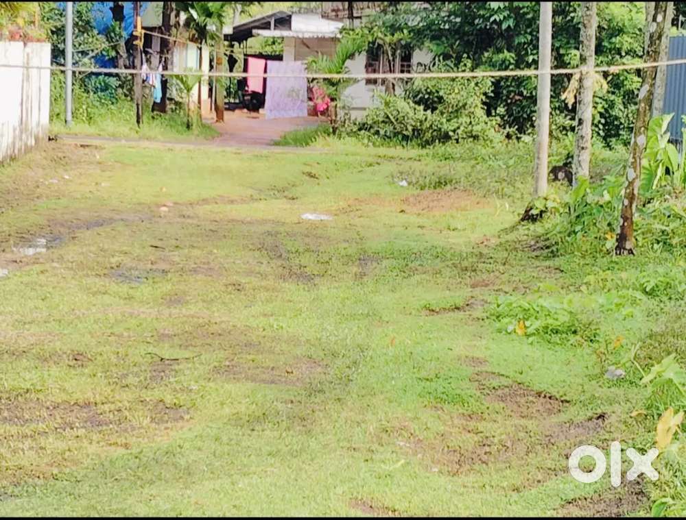 19 cent residential plot for sale near panangadu