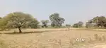 रोड रास्ते के साथ लालबर्रा से 12 किलोमीटर