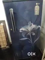 LG refrigerator