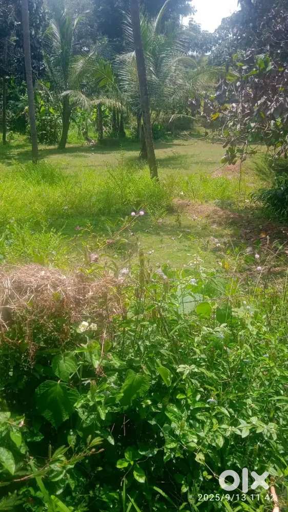 Kumaraswamy ambalathukulangara 6,7 cnt house plot for sale
