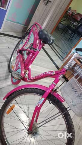 Ladybird cycle pink
