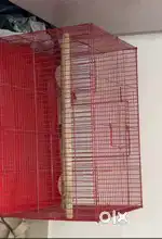 Bird cage ( pinjra)